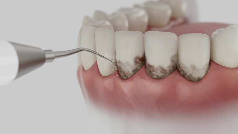 Reliable Dental contractor in Edgewood, MD by Dentist Open Now